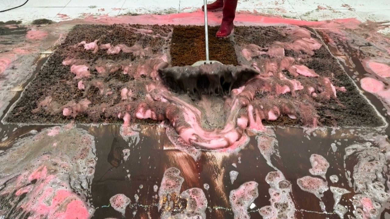 Extreme Dirty Shaggy Carpet Cleaning After Flood | Deep Cleaning Transformation Thumbnail