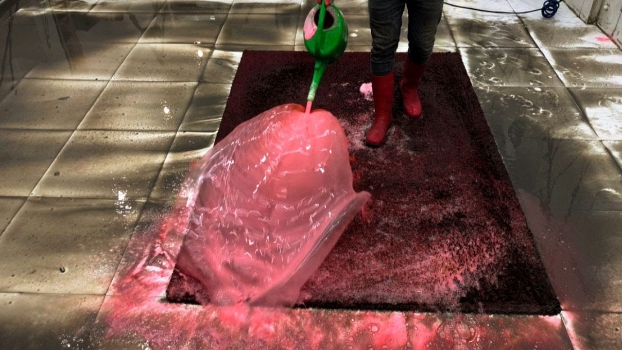 Shaggy, Centrifuge & Lots of Scrape – Extreme Carpet Cleaning ASMR Thumbnail