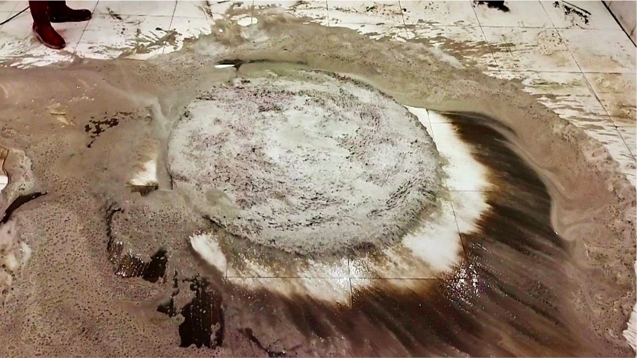 Dirtiest Round Rug Cleaning ASMR Thumbnail