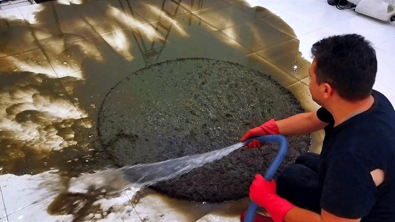Difficult Cleaning Process of Round Dirty Carpet – Satisfying Cleaning ASMR Thumbnail