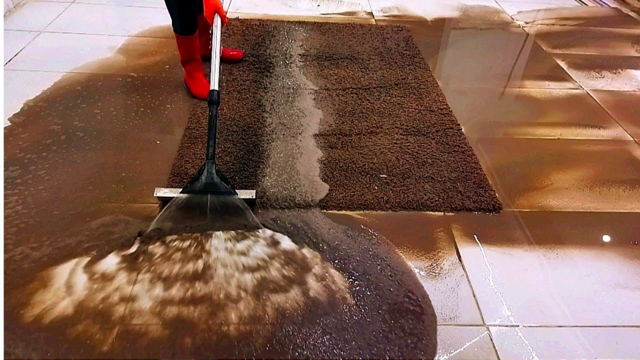 Disgusting Smelly Carpet Cleaning – Satisfying Rug Cleaning ASMR Thumbnail